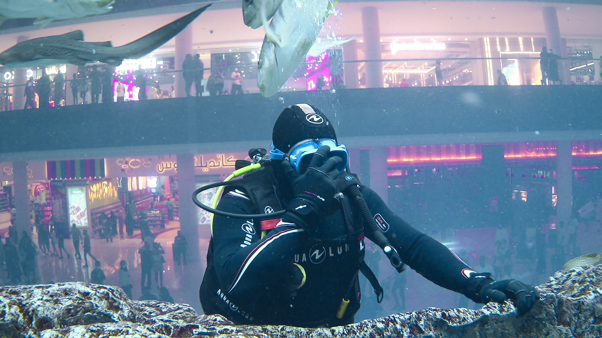 Me underwater with the mall and onlookers visible through the acrylic.